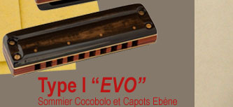 Type I Evo - Sommier Cocobolo et capots Ebne